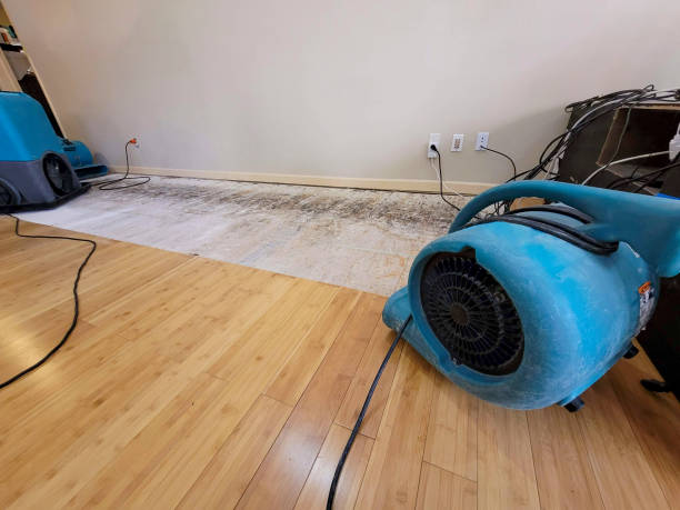 Professional Basement Flood Cleanup technician working in Garden City, KS